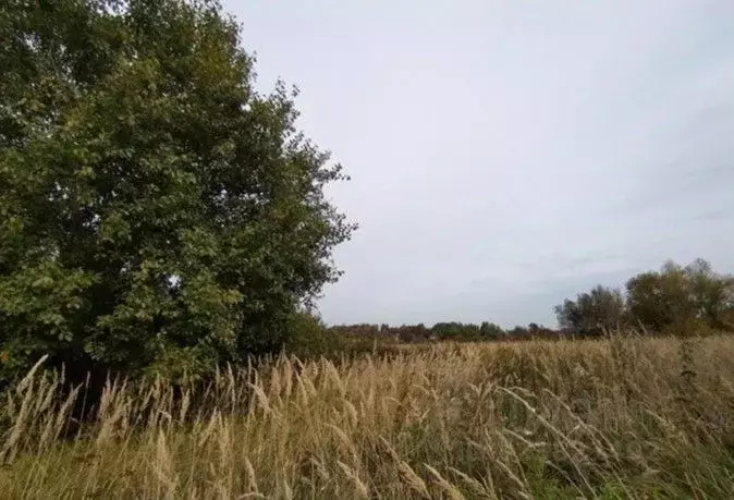 Участок в Московская область, Дмитровский муниципальный округ, д. ... - Фото 1