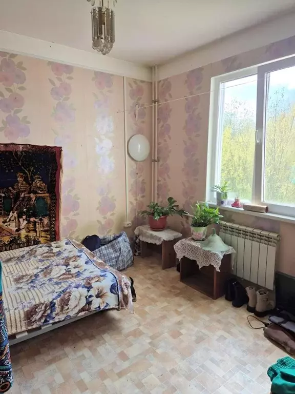 3-к кв. Архангельская область, Приморский муниципальный округ, д. ... - Фото 2