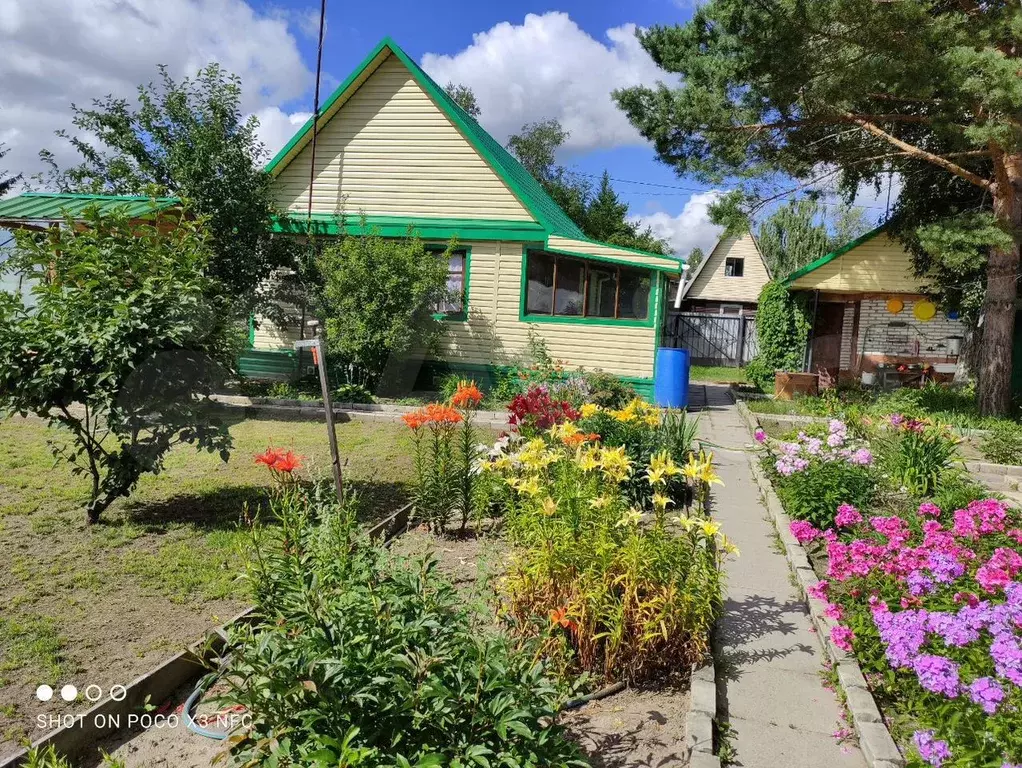 Дом 45 м на участке 9,9 сот. - Фото 0