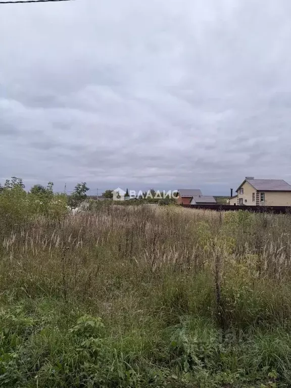 Участок в Нижегородская область, Арзамас городской округ, д. Князевка  ... - Фото 1