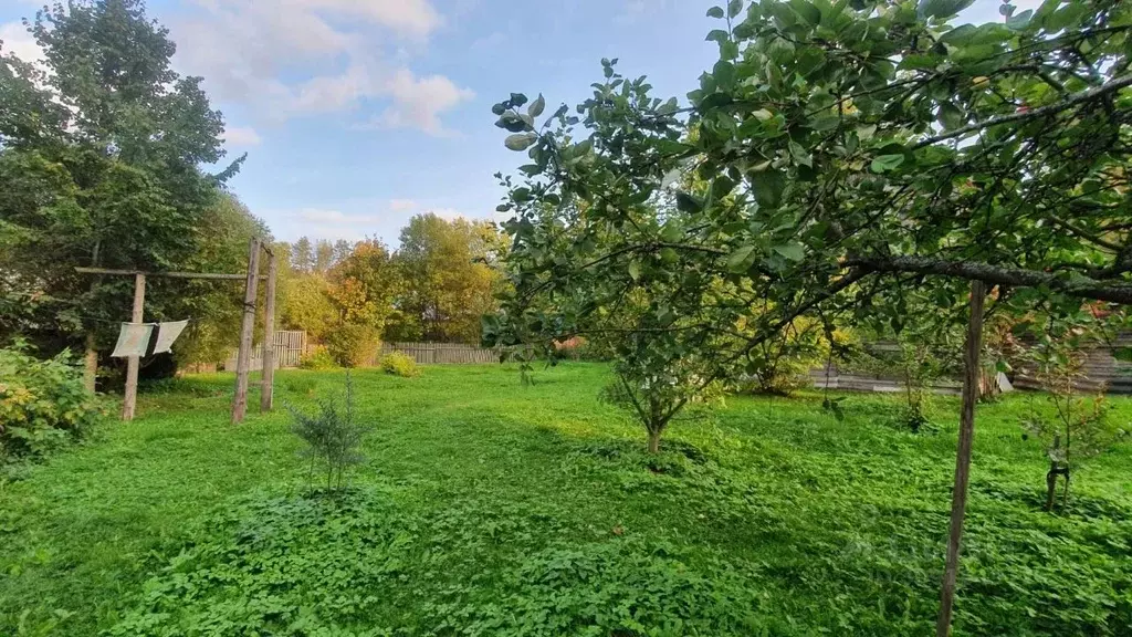 Участок в Ленинградская область, Гатчинский район, Вырица городской ... - Фото 0