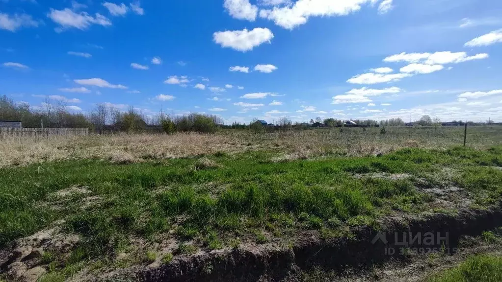 Участок в Тюменская область, Тюменский район, с. Борки  (14.5 сот.) - Фото 1