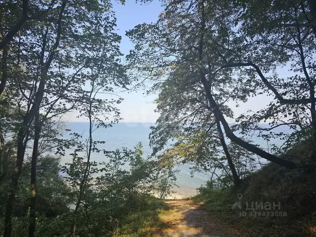 Участок в Калининградская область, Светлогорский городской округ, пос. ... - Фото 1