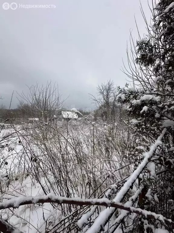 Участок в Балтийск, СНТ Балтийские Озерки (3.7 м) - Фото 2