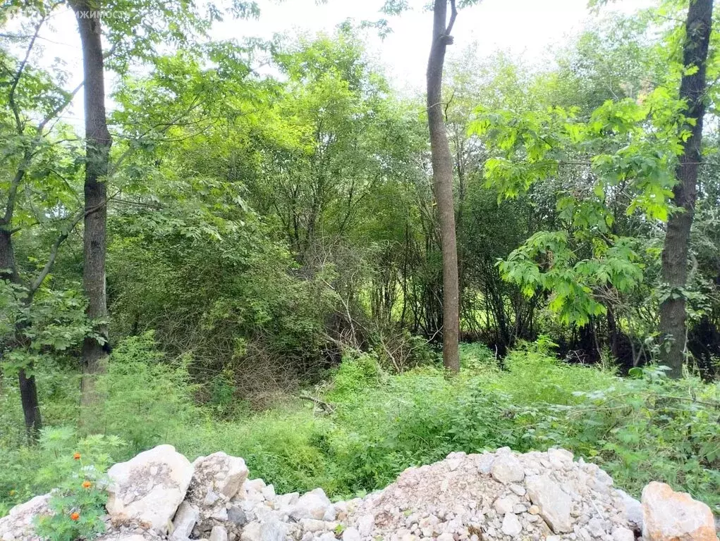 Участок в Екатериновка, Весенняя улица, 2 (15 м) - Фото 1