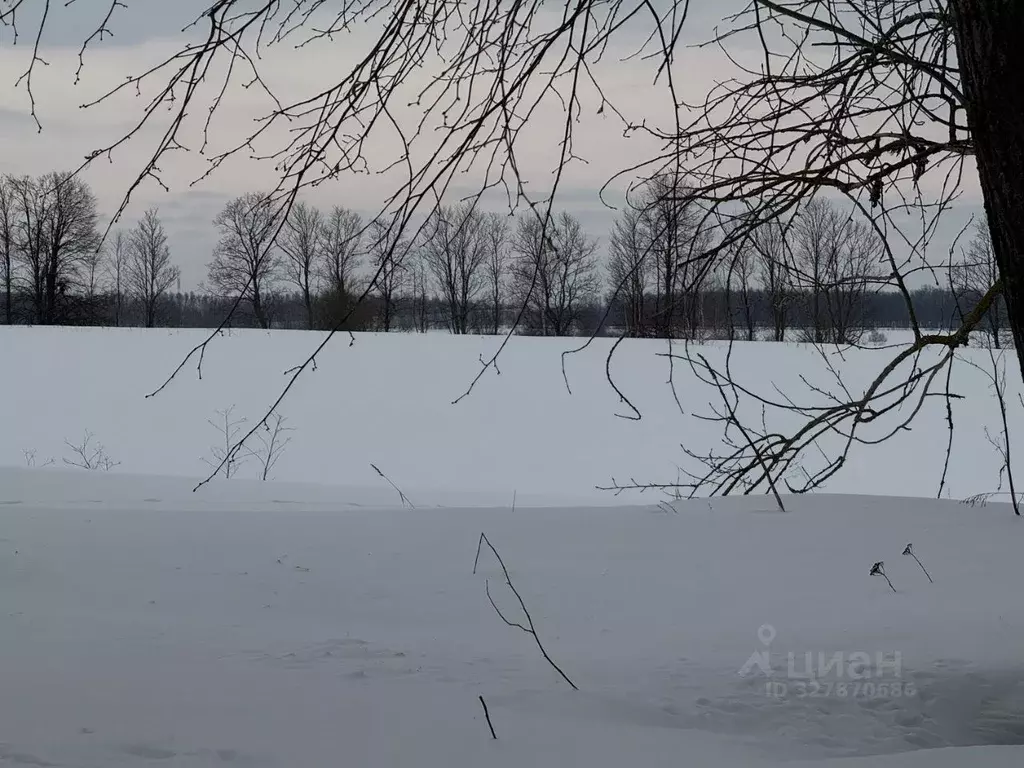 Участок в Московская область, Кашира городской округ, пос. Ледово  ... - Фото 1