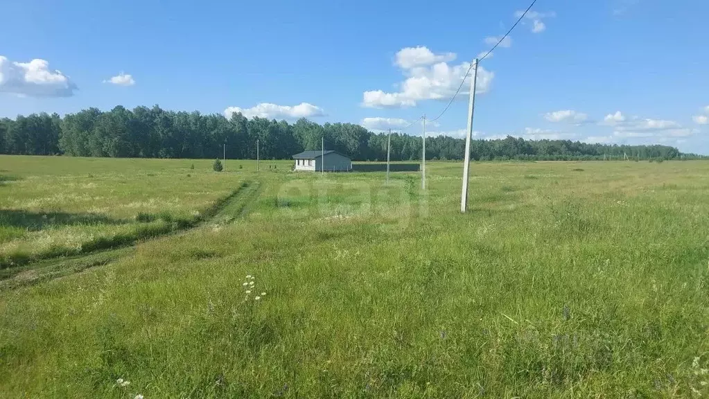 Участок в Алтайский край, Первомайский район, с. Фирсово, Полесье мкр  ... - Фото 1