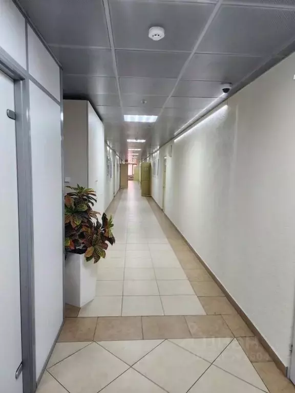 Офис в Свердловская область, Екатеринбург ул. Белинского, 83 (56 м) - Фото 2