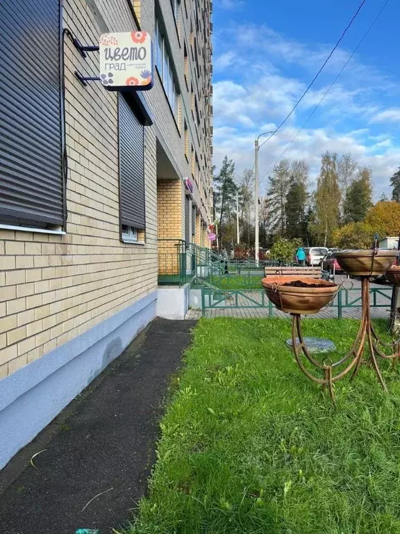 Помещение свободного назначения в Московская область, Пушкинский ... - Фото 2