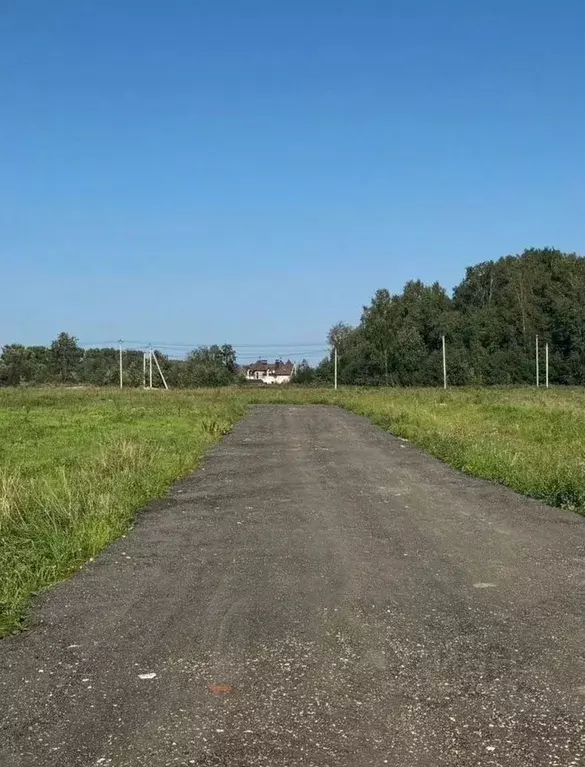 Участок в Ленинградская область, Ломоносовский район, Аннинское ... - Фото 1