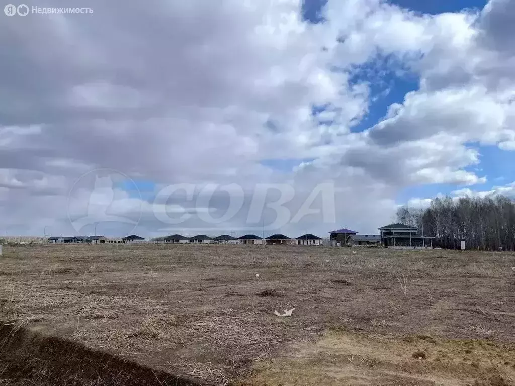 Участок в Тюменский муниципальный округ, село Каменка (7.6 м) - Фото 2