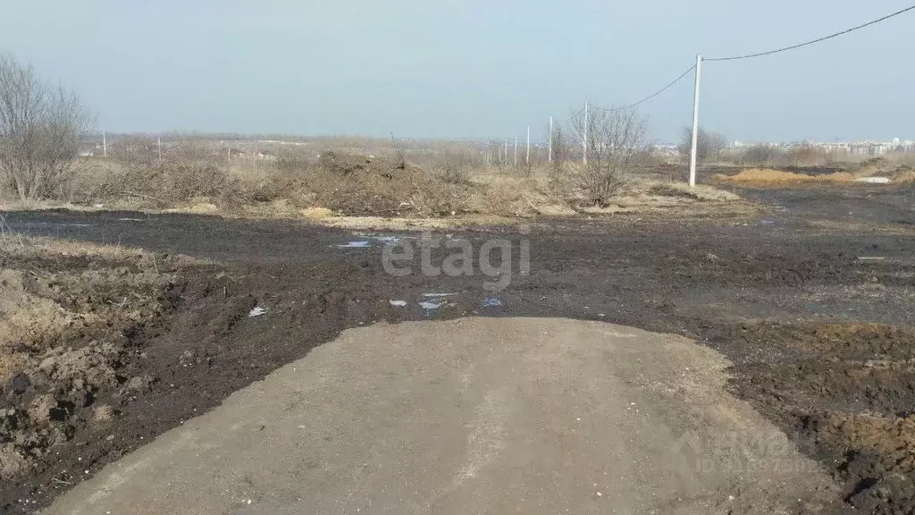 Участок в Белгородская область, Белгородский район, Дубовское с/пос, ... - Фото 0