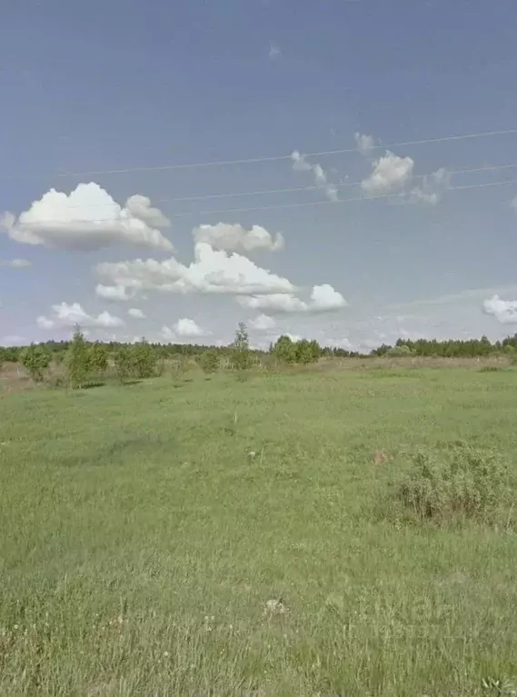 Участок в Московская область, Можайский муниципальный округ, д. ... - Фото 1