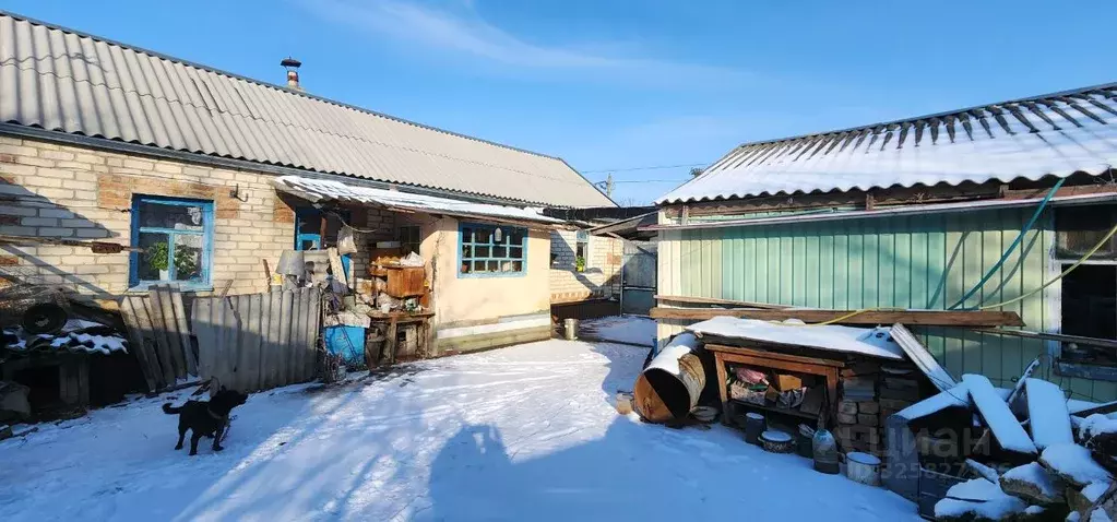 Дом в Ставропольский край, Труновский муниципальный округ, с. Донское ... - Фото 2