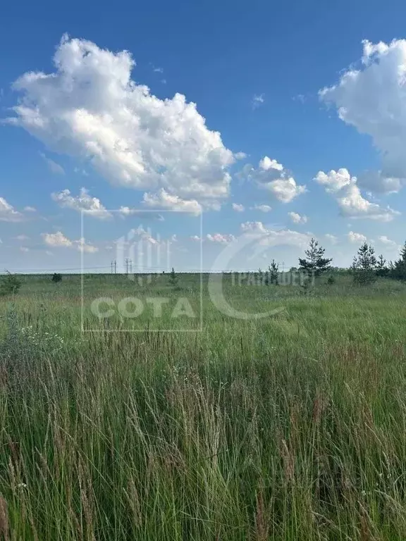Участок в Воронежская область, Верхнехавский район, Парижскокоммунское ... - Фото 1