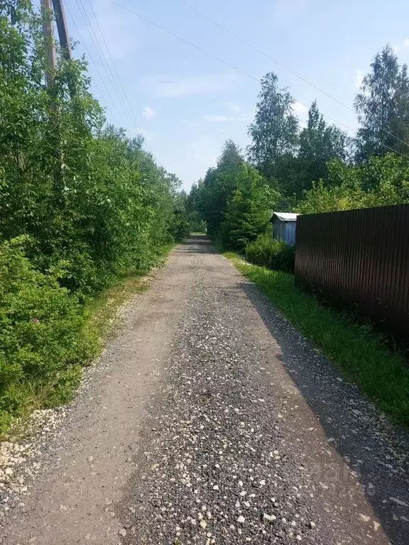 Дом в Ленинградская область, Гатчинский муниципальный округ, Березовая ... - Фото 2