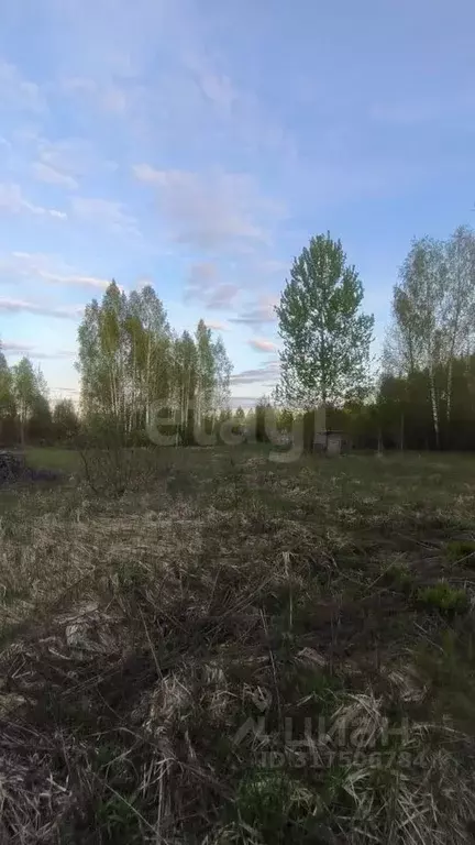 Участок в Брянская область, Брянский район, Нетьинское с/пос, д. ... - Фото 2