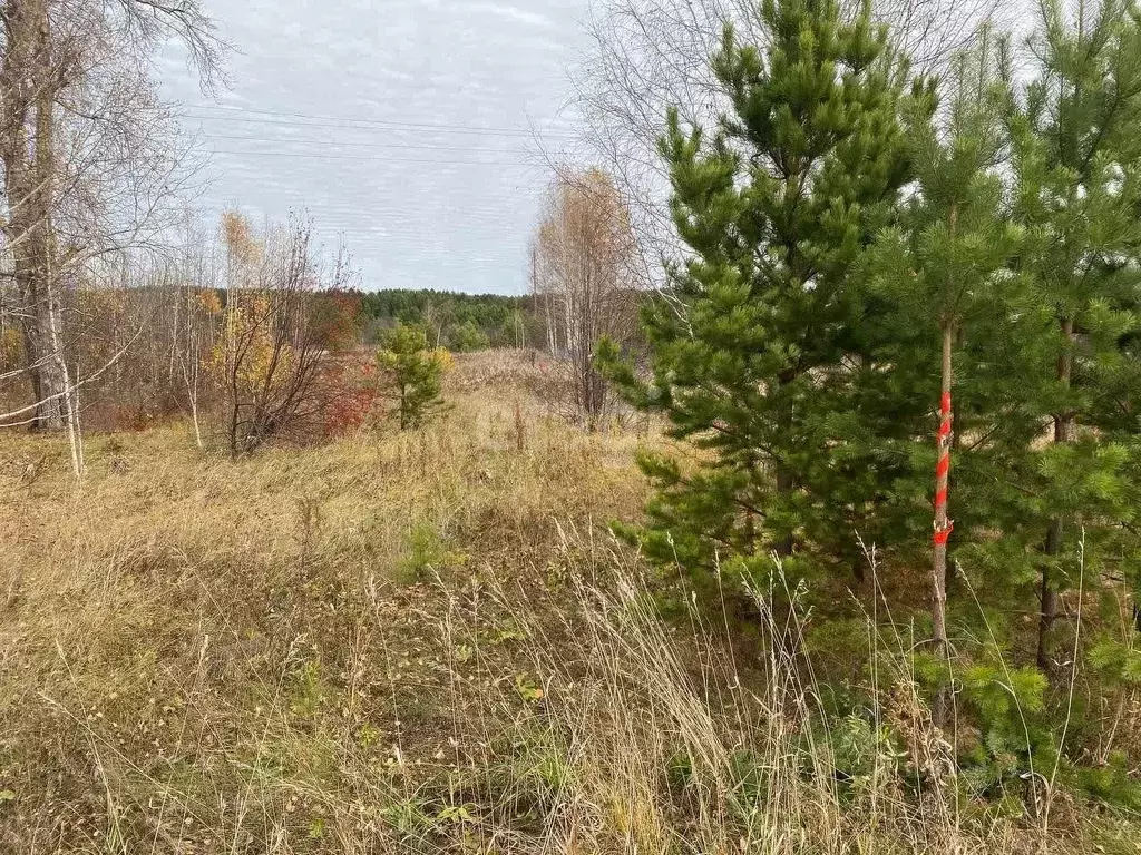 Участок в Свердловская область, Горноуральский городской округ, д. ... - Фото 0