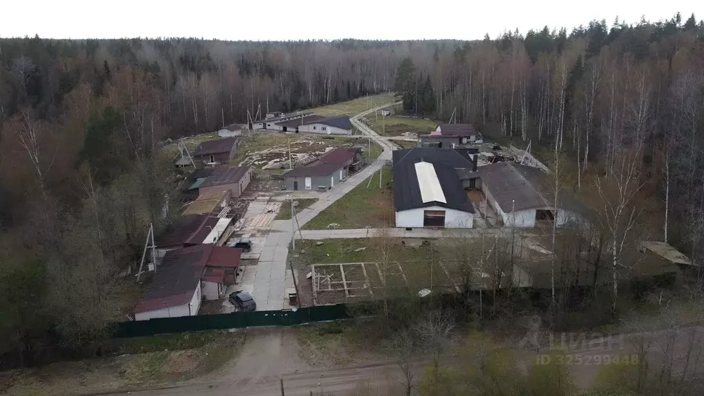 Участок в Ленинградская область, Приозерский район, Плодовское с/пос ... - Фото 2