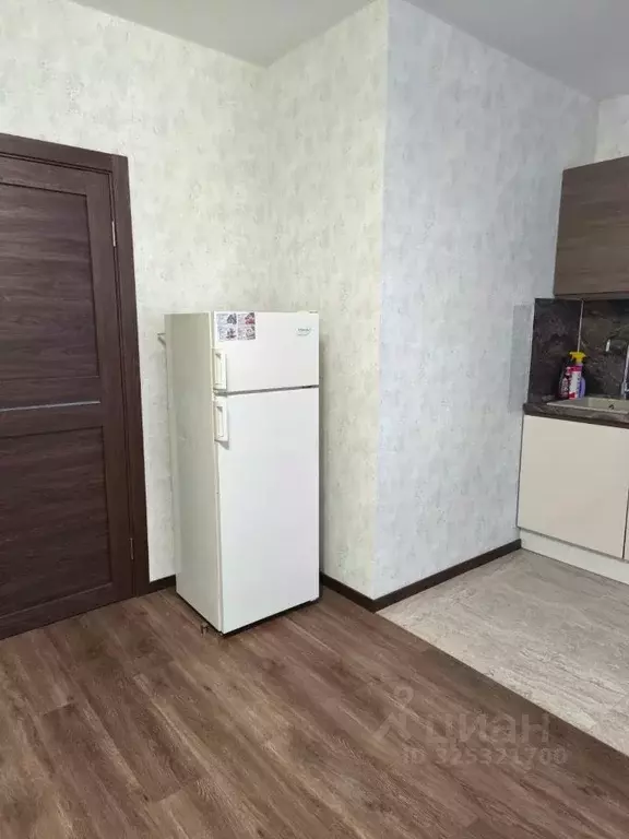 Студия Санкт-Петербург пос. Шушары, просп. Старорусский, 8к1 (25.0 м) - Фото 2