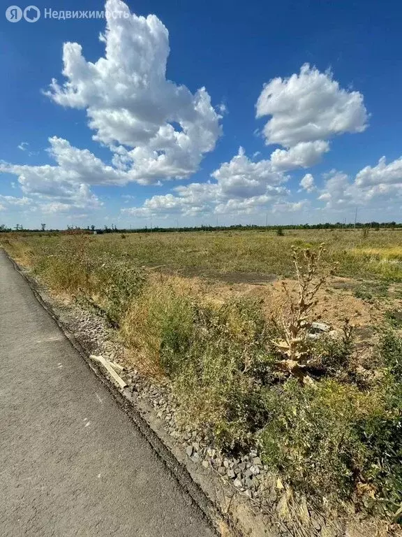Участок в Красный Колос, Заветинская улица (6 м) - Фото 0