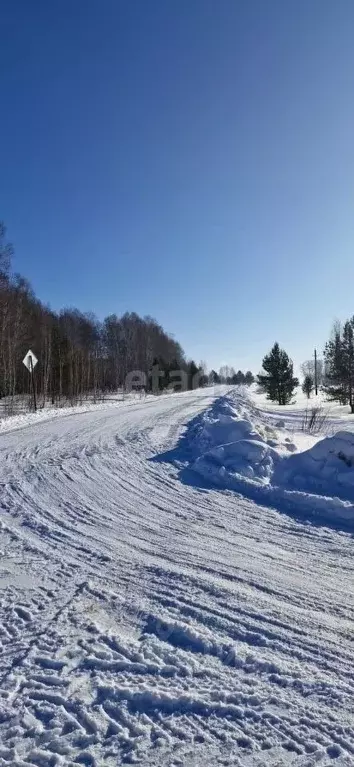 Дом в Новосибирская область, Тогучинский район, пос. Самарский Нижняя ... - Фото 0