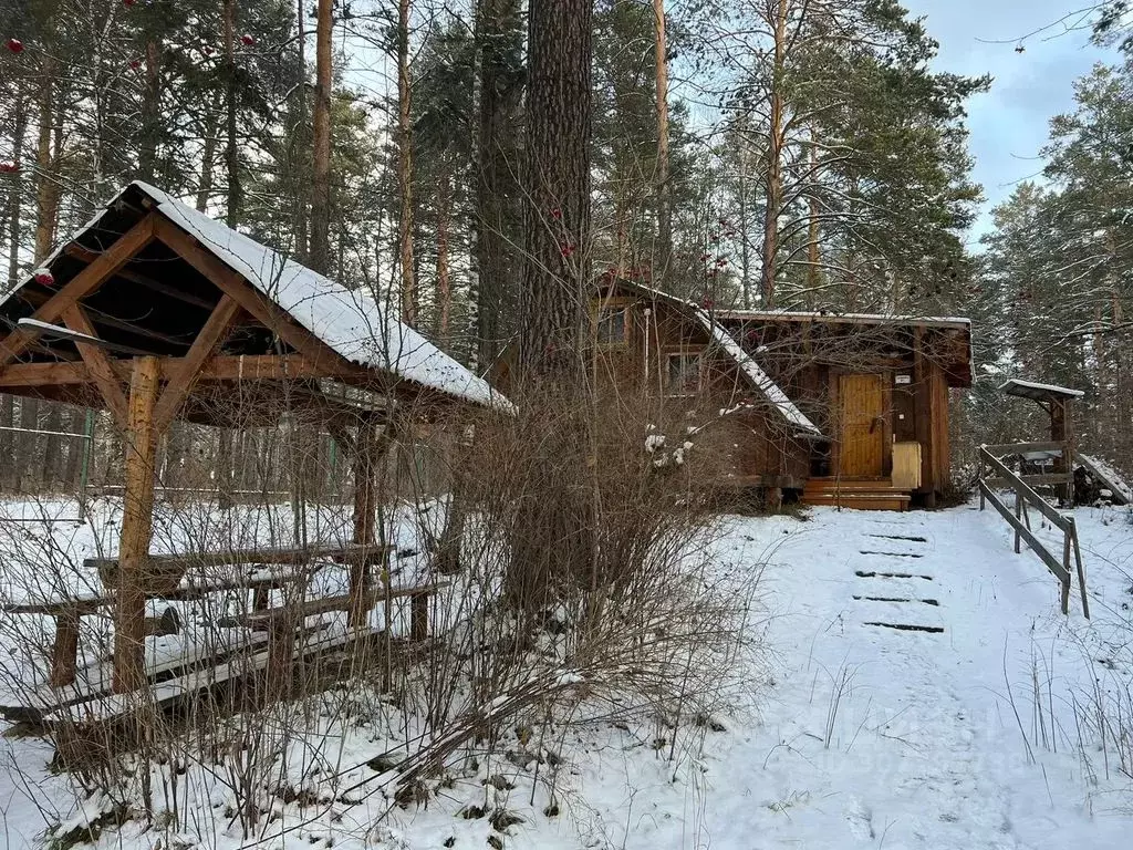 Дом в Алтай, Майминский район Р-256 Чуйский тракт, 478-й км (25 м) - Фото 0