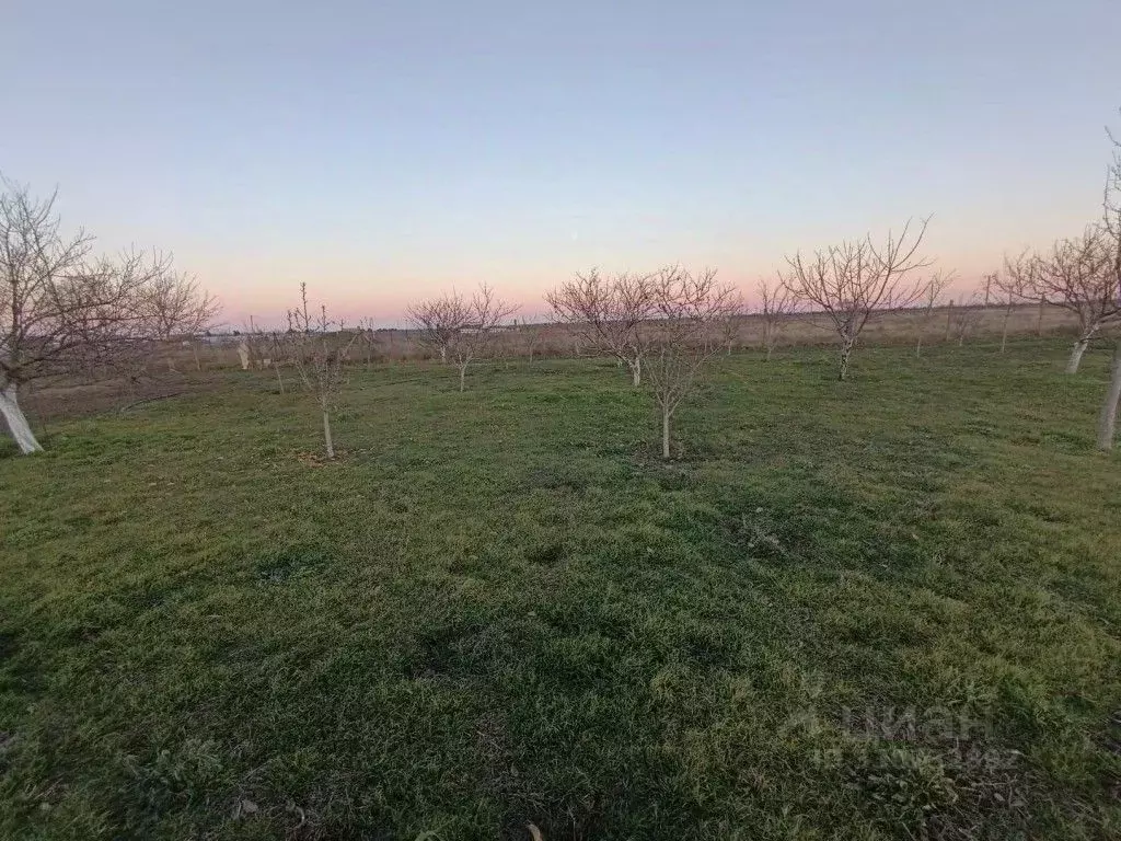 Участок в Крым, Ленинский район, с. Калиновка ул. Школьная (18.0 сот.) - Фото 2