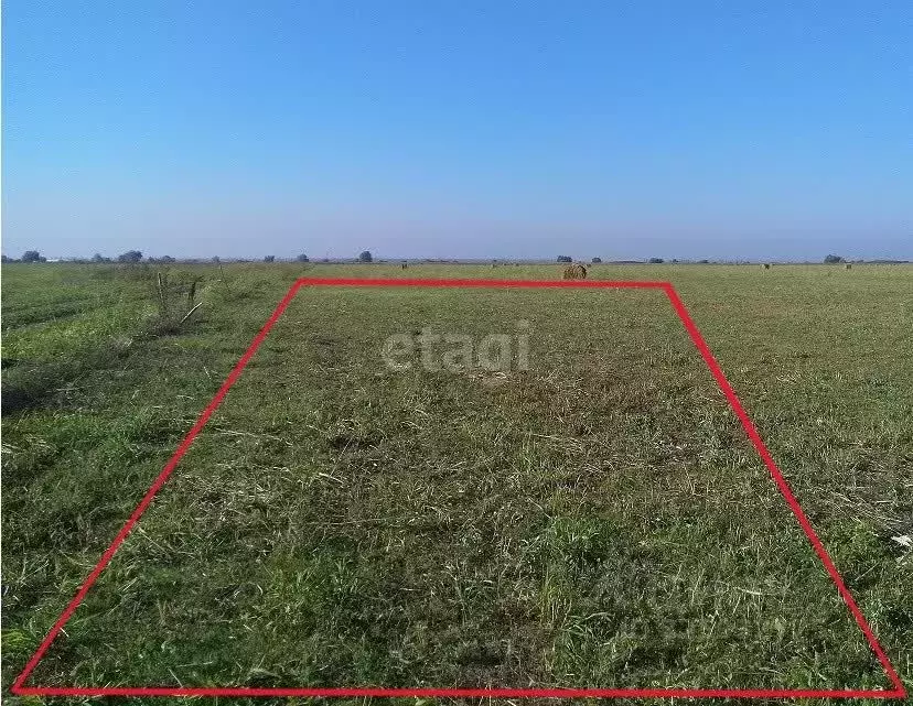 Участок в Крым, Ленинский район, Семисотское с/пос, с. Каменское ул. ... - Фото 1