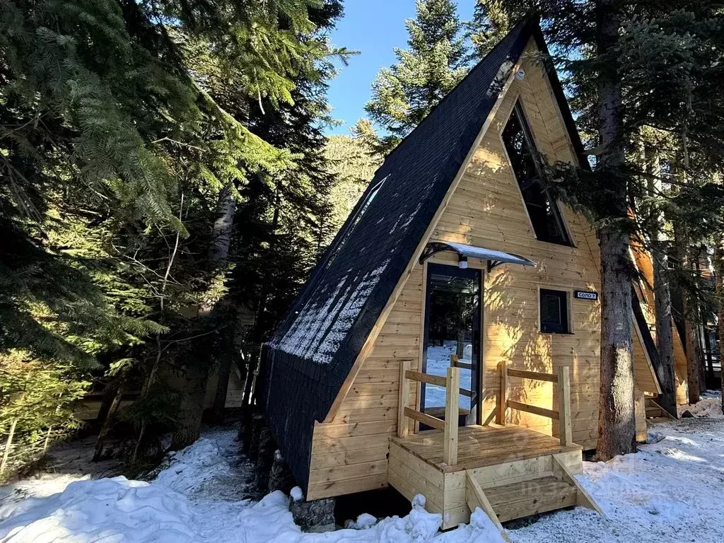 Дом в Карачаево-Черкесия, Зеленчукский район, с. Архыз  (56 м) - Фото 1