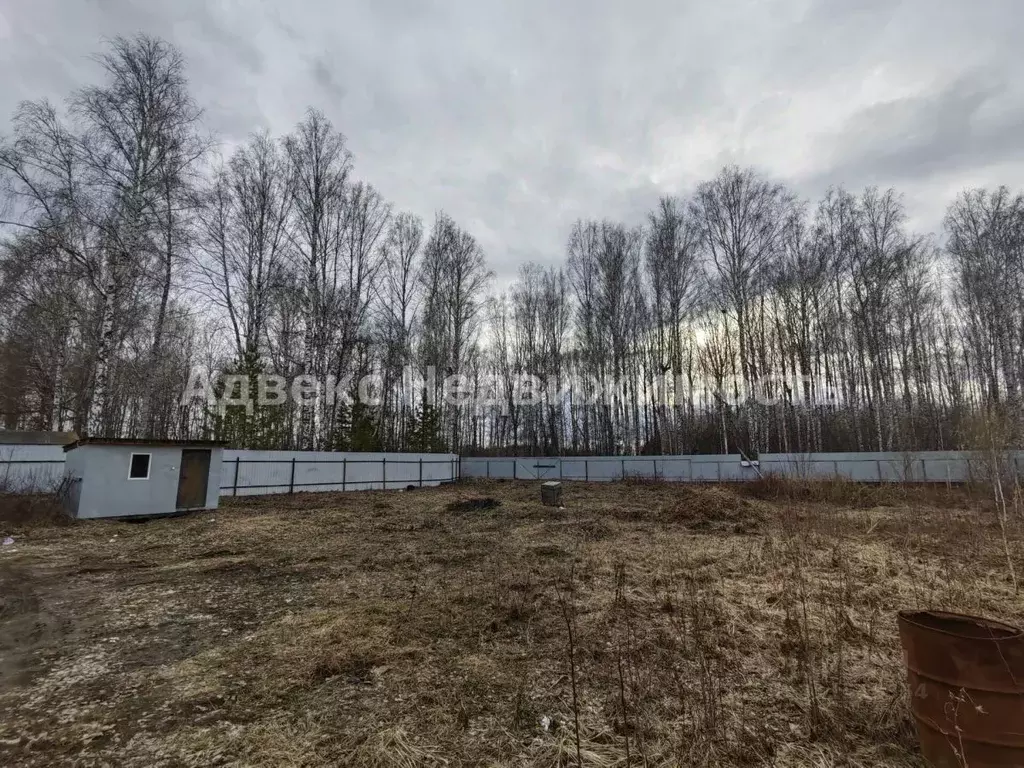 Участок в Тюменская область, Тюмень Сигнал садовое товарищество, ул. ... - Фото 1