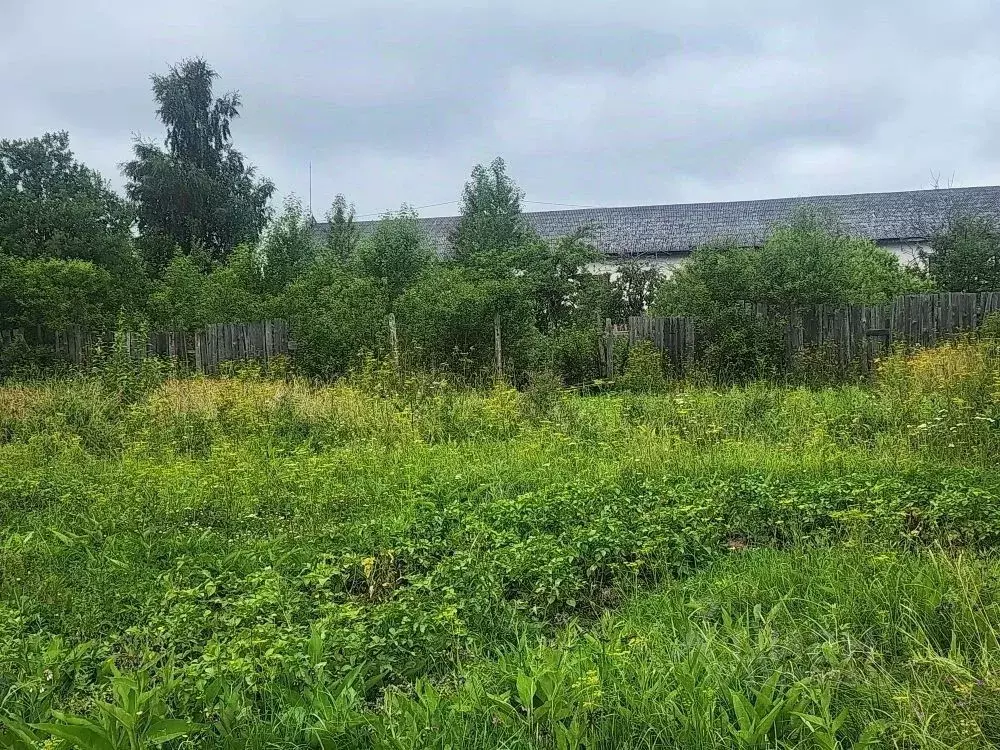 Участок в Новгородская область, Чудово  (9.0 сот.) - Фото 2