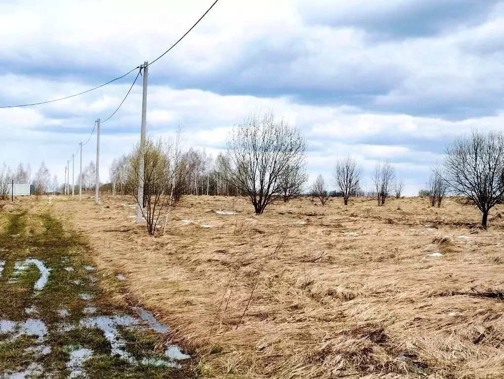 Участок в Тульская область, Тула городской округ, д. Сине-Тулица ... - Фото 2