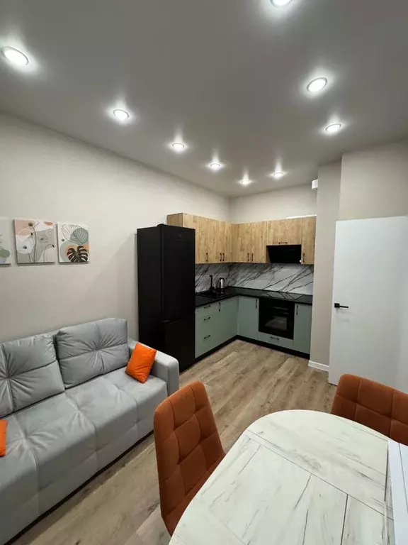 1-к кв. Краснодарский край, Краснодар ул. Имени Генерала Брусилова, ... - Фото 1