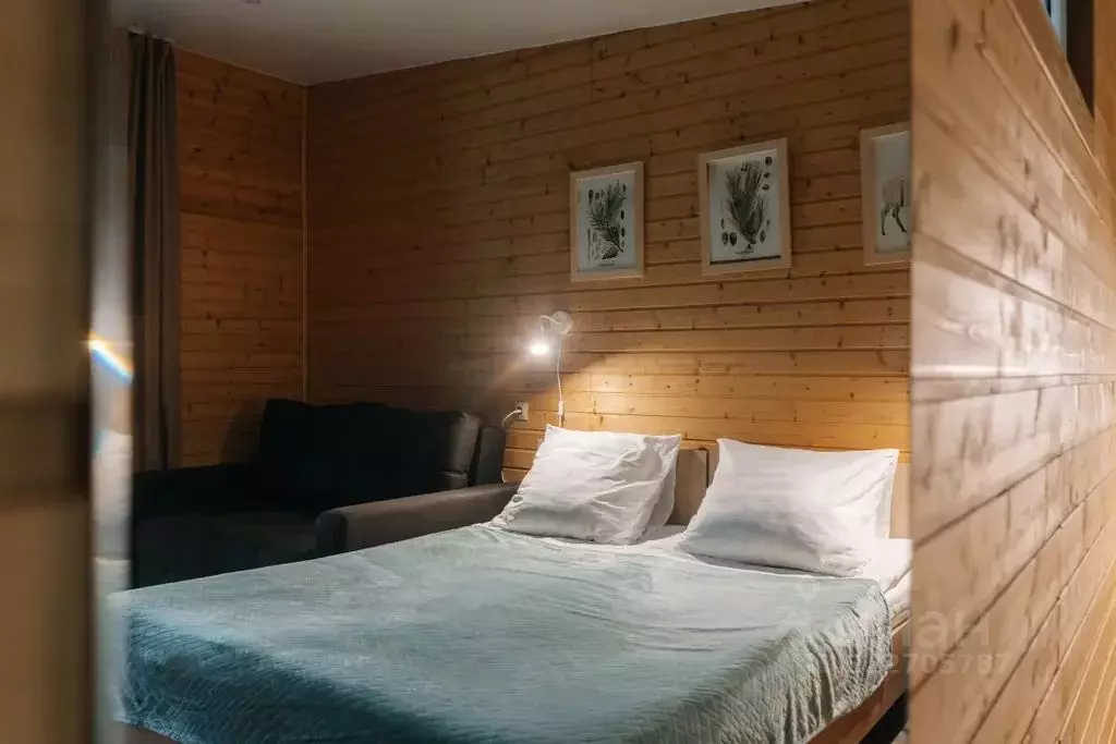 Дом в Алтай, Майминский район Р-256 Чуйский тракт, 469-й км, 1 (16 м) - Фото 2