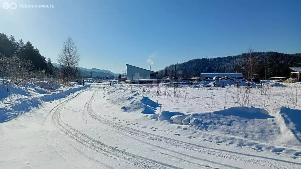 Участок в Майминский район, село Кызыл-Озек (10 м) - Фото 2