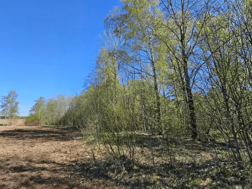 Участок в Ленинградская область, Всеволожский район, Сертоловское ... - Фото 0