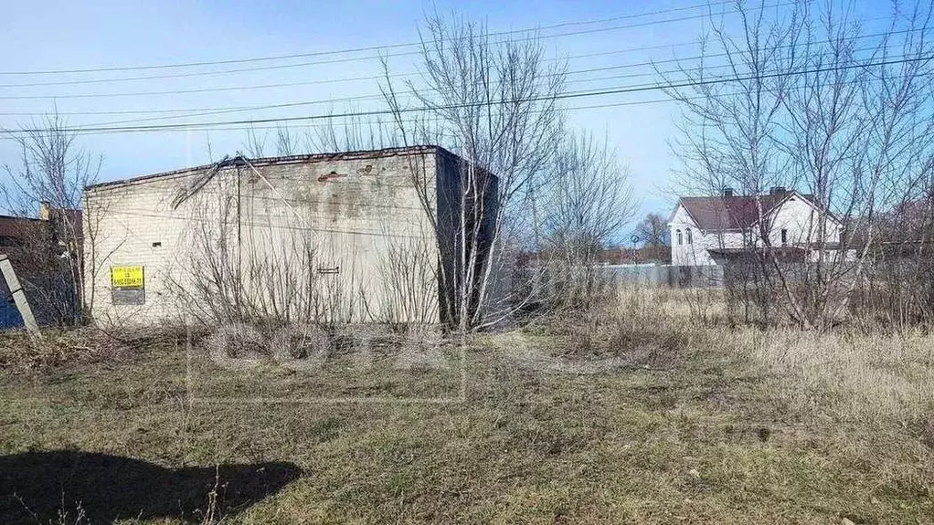Участок в Воронежская область, с. Новая Усмань ул. Краснознаменная, 1А ... - Фото 0