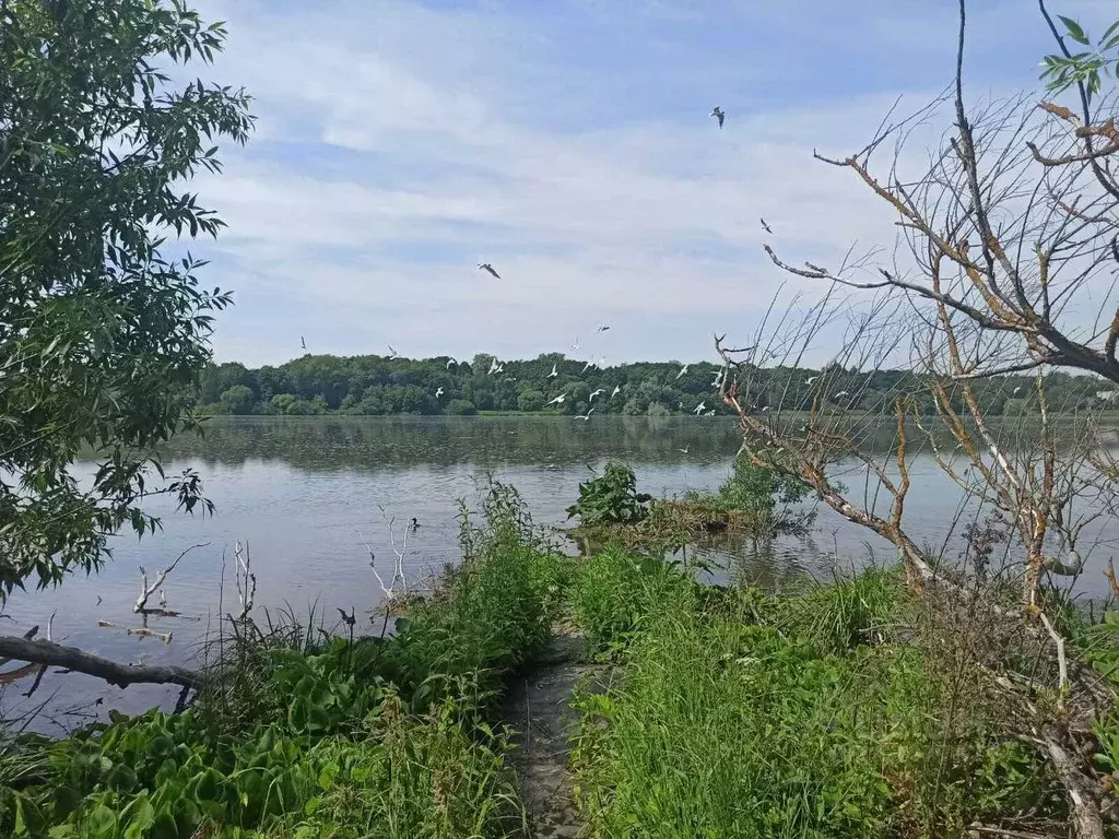 Дом в Санкт-Петербург, Санкт-Петербург, Красное Село ул. Набережная, 4 ... - Фото 1