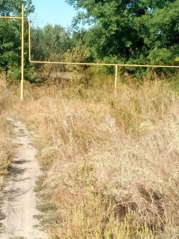 Участок в Ростовская область, Аксайский район, Старочеркасское с/пос, ... - Фото 1