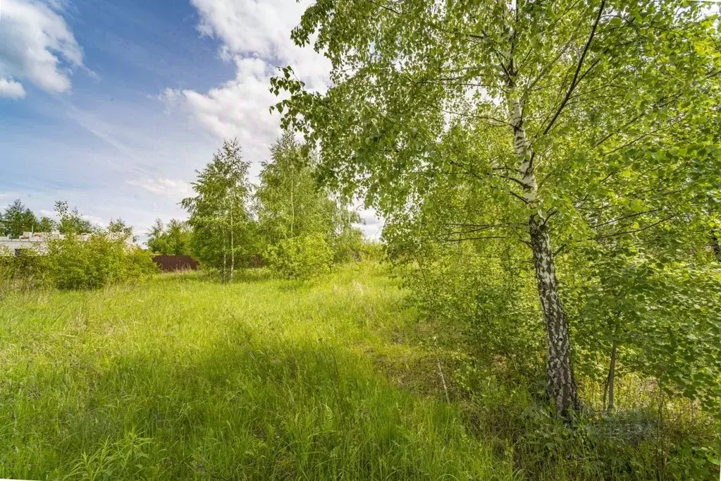 Участок в Тульская область, Ясногорский район, Иваньковское с/пос, ... - Фото 1