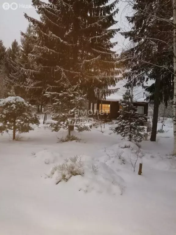 Дом в Ленинградская область, Гатчинский муниципальный округ, ... - Фото 1