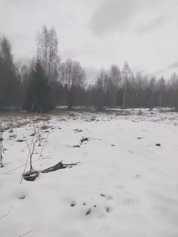 Участок в Московская область, Клин городской округ, д. Поджигородово  ... - Фото 1