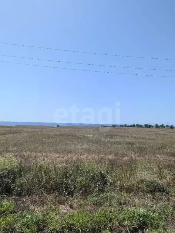 Участок в Крым, Черноморский район, Окуневское с/пос, с. Марьино  ... - Фото 1