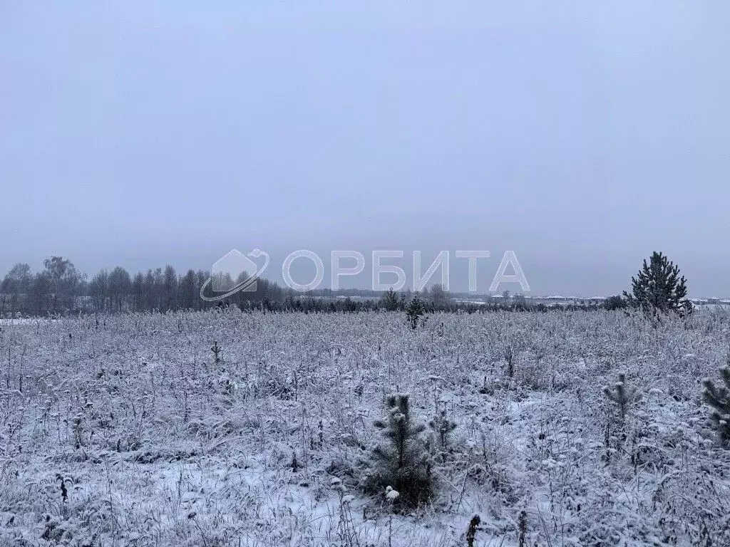 Участок в Тюменская область, Тюменский муниципальный округ, ... - Фото 1