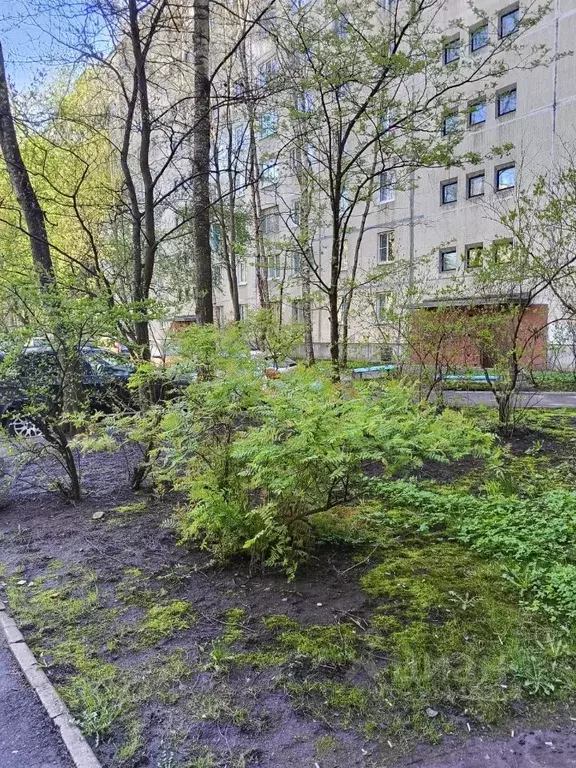2-к кв. Санкт-Петербург просп. Солидарности, 15К1 (47.0 м) - Фото 1