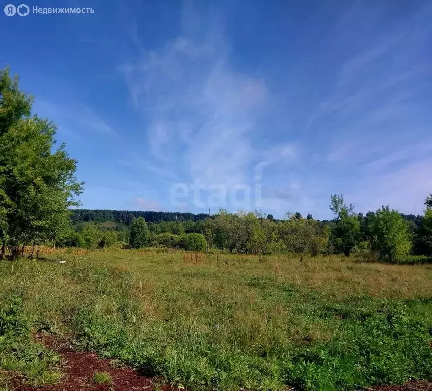 Участок в Солтонский район, село Ненинка (262.83 м) - Фото 0