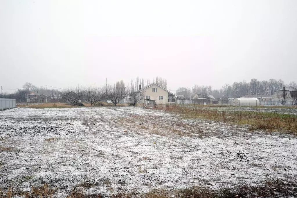 Подслушано воля новоусманский. Пос Воля Воронежская область. Посёлок Воля Воронежская область. Воля Воронежская область.