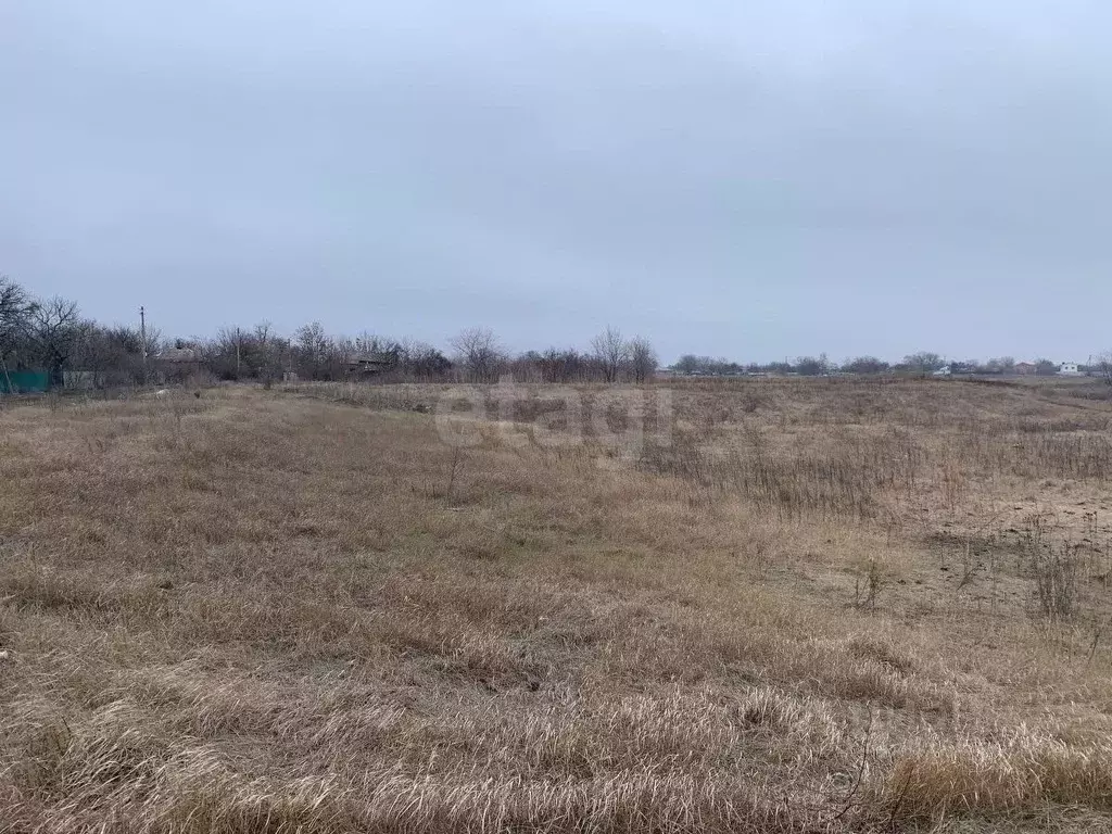 Участок в Ростовская область, Багаевский район, Манычское с/пос, ... - Фото 0