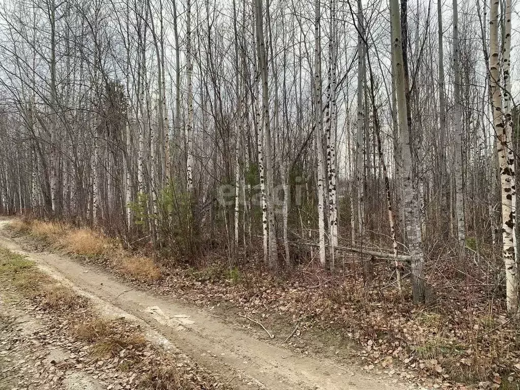 Участок в Ханты-Мансийский АО, Ханты-Мансийск Спартак СОТ,  (9.6 сот.) - Фото 1
